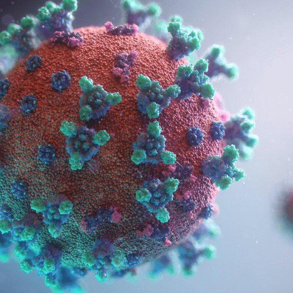 A visual of the COVID-19 virus.