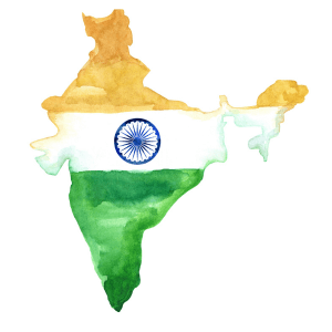 An outline of the country of India filled in with the print of the flag of India. The top has an orange stripe, the middle is white with a blue circle in the center, and the bottom of the country is green.