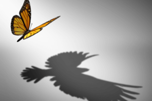 A monarch butterfly is flying and it's shadow is that of an eagle.