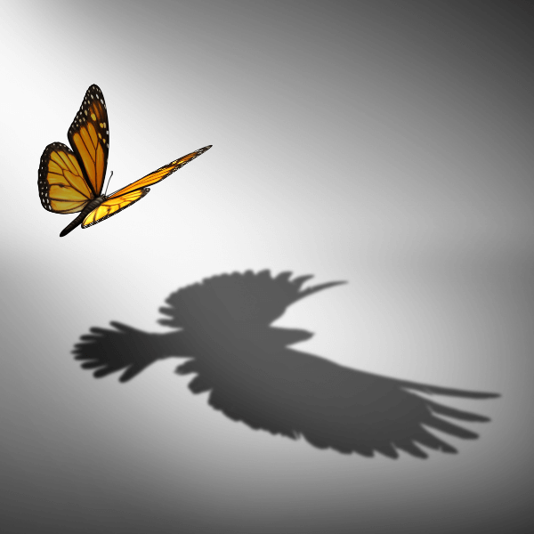 A monarch butterfly is flying and it's shadow is that of an eagle.