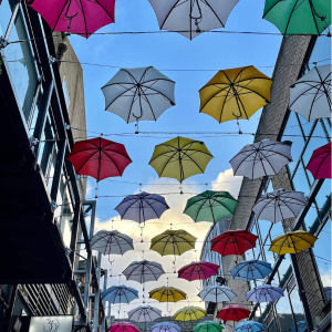 Happy National Umbrella Day 2025