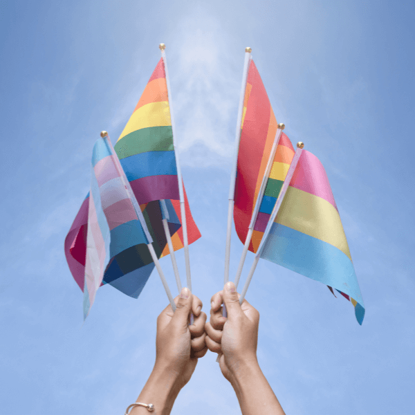 Two hands in front of a blue sky holding up 6 pride flags.