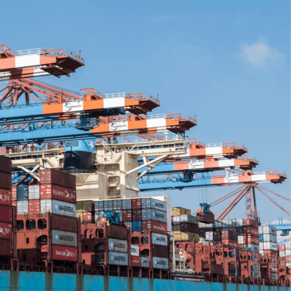 Exporting Makes Women-Owned Businesses Stronger and More Sustainable